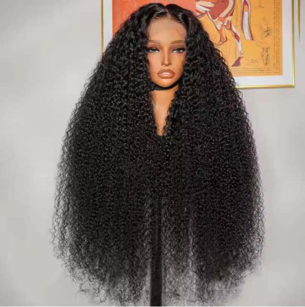 Raw Cambodian Curly Hair HD Frontal Wig 250%