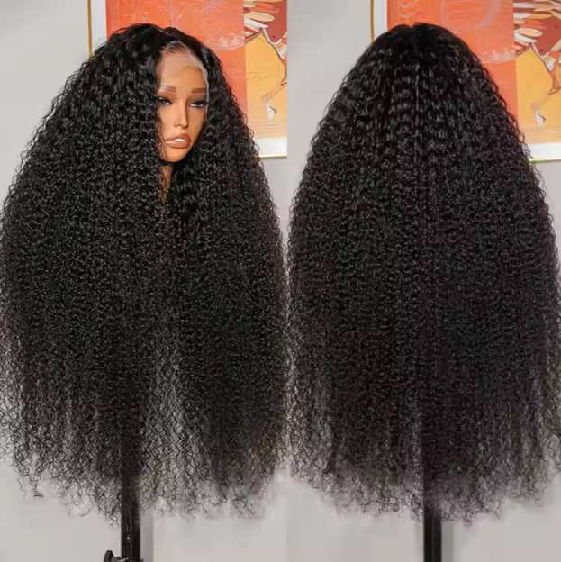 Raw Cambodian Curly Hair HD Frontal Wig 250%